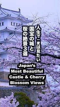人生で一度は見たい！国宝の城と桜の絶景３選 Japan’s Most Beautiful Castle & Cherry Blossom Views 姫路城 彦根城 #城と桜#桜の名所#sakura