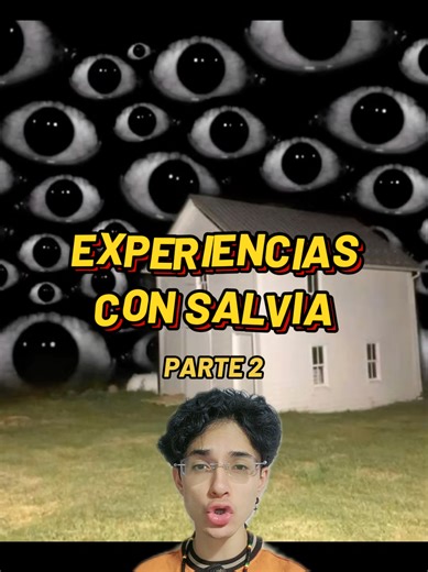 Experiencias Reales con Salvia: Parte 2