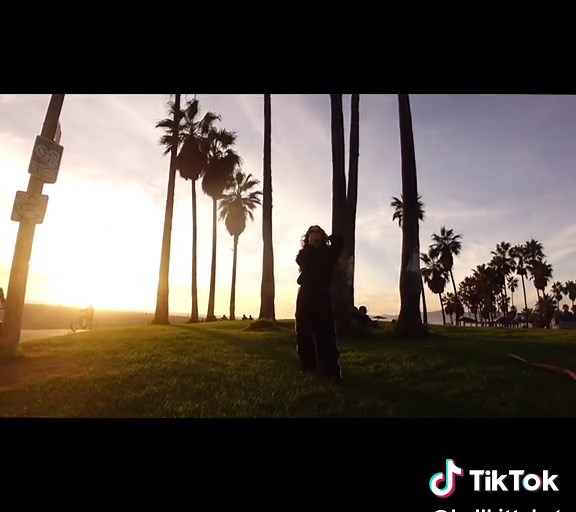 cartwheel series at the beach tell me ur happy at the beach without telling me ur happy at the beach