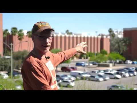 I discovered water harvesting magic!💧