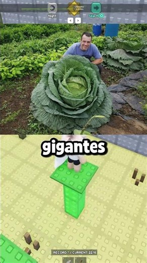 Things that are MUCH bigger than you think 😱📏