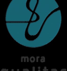 mora qualitas、2020年5月に最も聴かれた楽曲は宇多田ヒカル「Time」 | Musicman