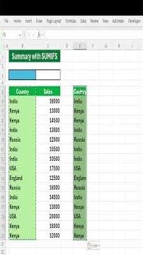 Excel SUMIFS Formula - Sum with Single or Multiple Criteria (Beginner to Pro + Examples!)