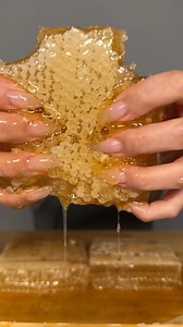 have you ever tried honeycomb? (not the cereal) #tasty #honeycomb #honeycombchallenge #honeybees dm for credit | The Bee Partner | Facebook