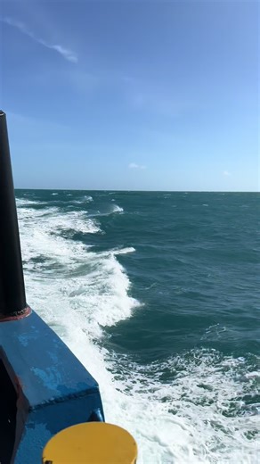 Tão natural como a luz do dia 🎶🎵 #offshore #videoviral #sea #mar #video