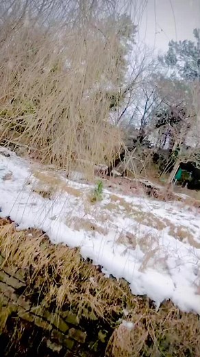 Gir gaya😂#murree#enojy#gir gaya😂