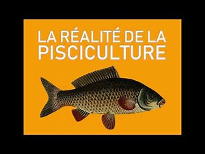 La réalité de la pisciculture