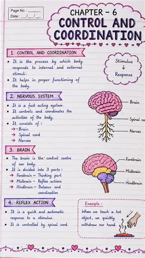 class 10 science notes chapter 6
