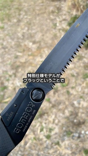 ゴムボーイ・ゴム太郎40周年記念Tシャツプレゼントキャンペーン実施中 #shorts #シルキー #のこぎり