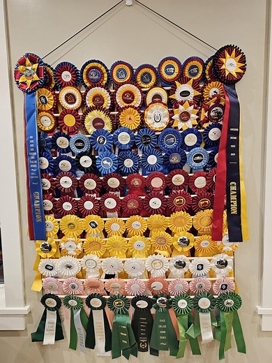 Horse Show Ribbon Display Rack | Equestrian Rosette Holder | Wall Display Holds 115  Ribbons - Etsy