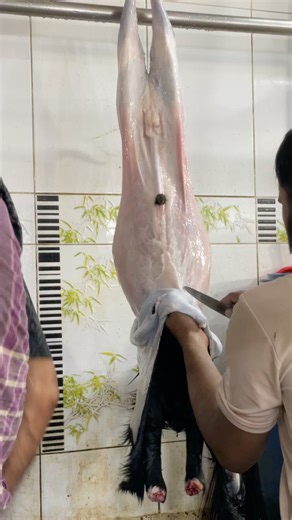 Goat Processing for Meat | Mutton Cutting #trending #meatmarket #food