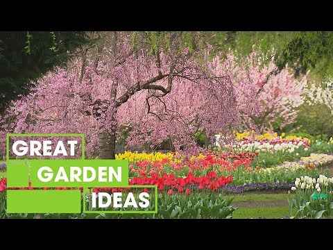 Tulip Top Garden | GARDEN | Great Home Ideas