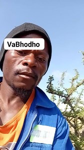 49K views · 1.1K reactions | Hurume husina simba | Shiga Shiga | Facebook