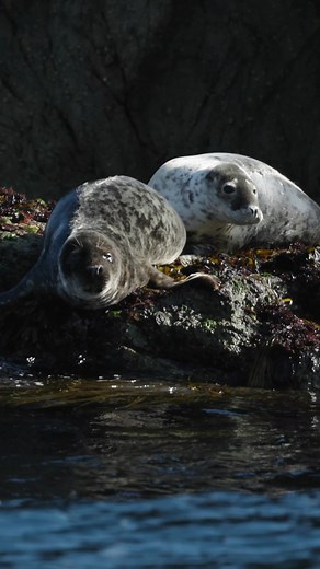 The Canon Black Friday sale is here! Save up to 40% off your favourite cameras, lenses, printers, accessories and much more. Shop now from the Official Canon Store with a 2 year warranty & free delivery. 0% installments available. https://bit.ly/4o46cFo | Canon Middle East | Facebook