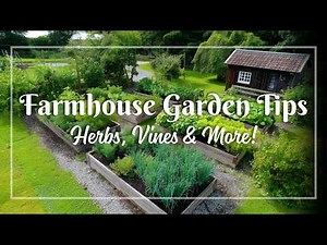 Cozy Country Garden Vibes: Small Rustic Farmhouse Landscapes with Herbs, Vines & Vintage Flair