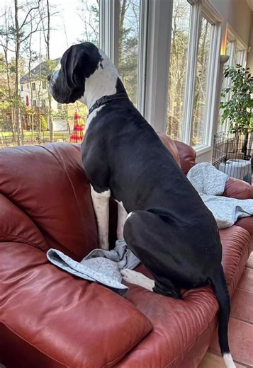 Freeda (@freeda886)’s videos with original sound - Freeda