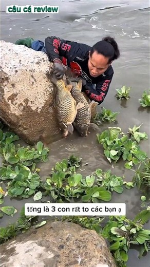 tràng trai bắt được 3 con cá núp trong đám bèo và cái kết #cauca #batca