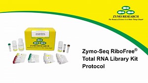 Zymo-Seq RiboFree® Total RNA Library Kit Protocol Video