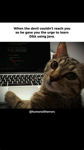 Humor_With_Errors | DSA using java🔥 > any other programming language 💻 - @humorwitherrors - #coding #programming #codinglife #codingisfun #programmingmemes... | Instagram