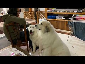 【ルンルンの裏庭】珍しく息子（格下）に甘えるアランとルンルン