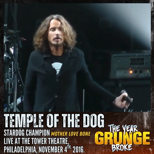 52K views · 2.1K reactions | TEMPLE OF THE DOG - Stardog Champion...