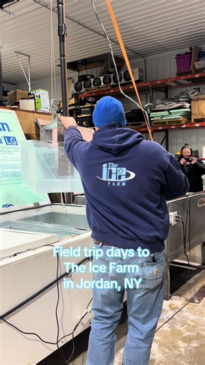 We make ice carvings all year round and we are a Christmas tree farm as well. #theicefarm#fyp #winter #fieldtrip#elementaryschool