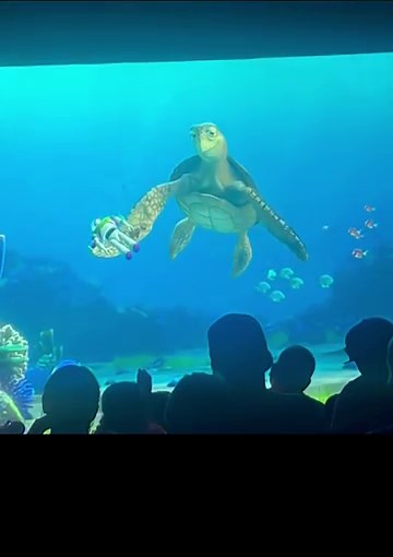 Crush the Turtle's Ocean Mystery: What Did I Find?