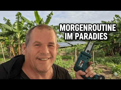 Thailand Alltag: Bewässerung mit Solar, Baumschnitt am Haus & Fitness-Update 💪🌧️