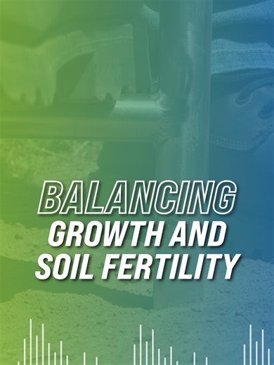 You will experience more growth when you apply gibberellic acid.