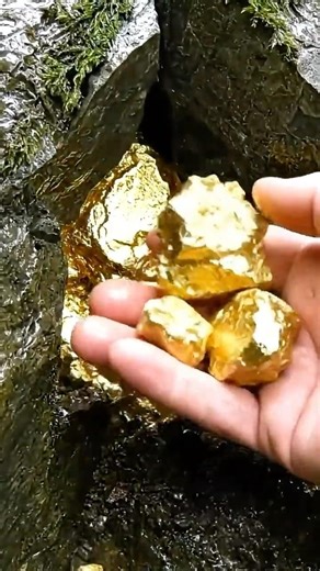 I Split a Mossy Rock and Found THIS! 😱🔨 #shorts #gold #mining #asmr
