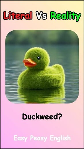 Top Literal vs Real Meaning of English Compound Words|| 04