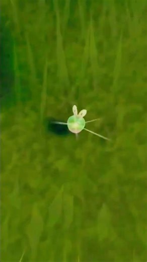 SHINY APPLIN for My Scarlet NUZLOCKE! Meet Drapple! 🍎✨ LIKE & SUBSCRIBE! #pokemonscarletandviolet