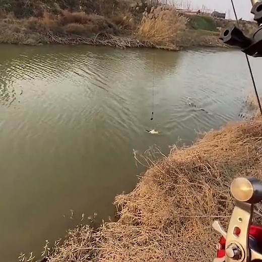 Fish Finder Underwater Fishing Camera 4.3" LCD Monitor