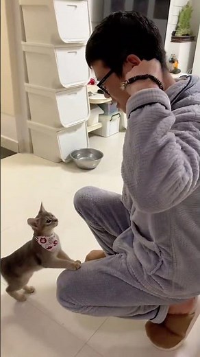 Cat performs impressive tricks under training in Hunan, China