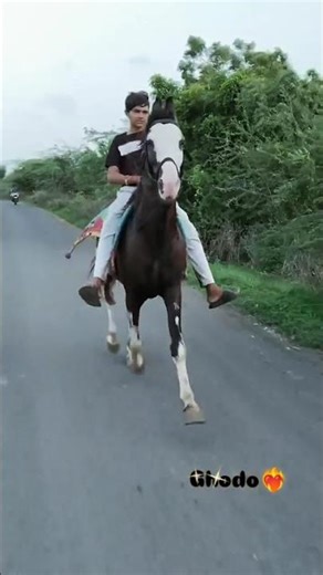 gando 📈⚜️ #ghodo #horseriding #driving #bharwad #popular #aura #vibes