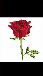 Denotation vs connotation