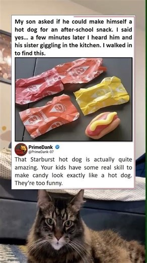 Pure culinary genius right here 🌭 | funny memes | relatable American memes | dank memes