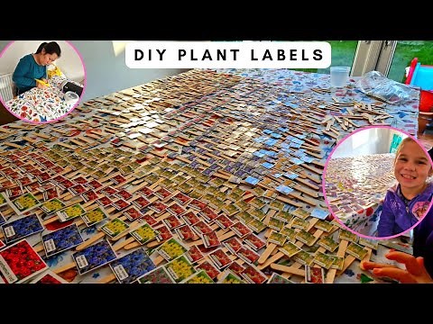 DIY Plant labels | Homegrown business | name tags for Plants |
