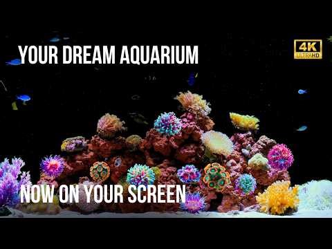 🐠 4K Aquarium Loop (12H) | Serene Visuals, No Audio Distractions for Ultimate Relaxation!
