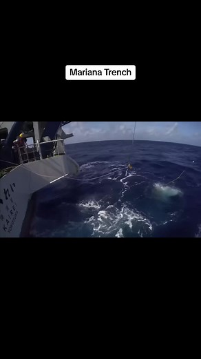 A great research documentary on the extreme depths of the Mariana Trench and the mind blowing unseen sea creatures. Very well narrated documentary by David Attenborough. The Mariana Trench or Marianas Trench is located in the western Pacific Ocean about 200 kilometers east of the Mariana Islands; it is the deepest oceanic trench on earth. The maximum known depth of Marian Trench is 10,984 meters however, some unrepeated measurements place the deepest portion at 11,034 meters. This NHK documentar