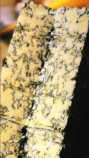 Why Mold Makes Cheese Even Better! 🧀🤯