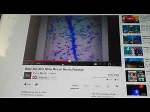 Baby Mozart 2003 VHS Part 2