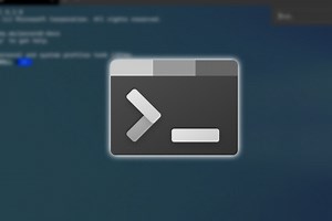 Microsoft se ha decidido (más o menos) con Windows Terminal y será la herramienta de comandos principal en Windows 11