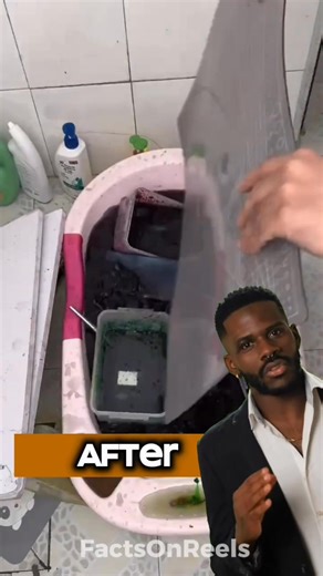 Cotton Candy Maker Cleaned!🍭 🤯 #How #facts #reels #us #cottoncandy | Facts On Reels