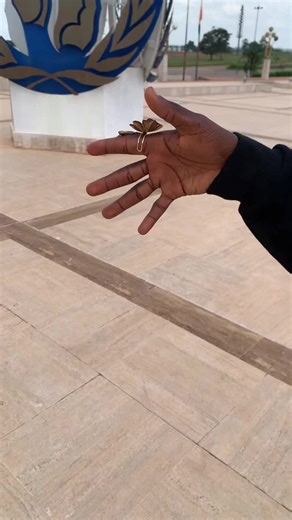 Vidéos de Eli DIBY (@eli.diby) avec son original - davidson