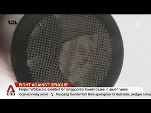 Dengue cases plunge to 7-year low