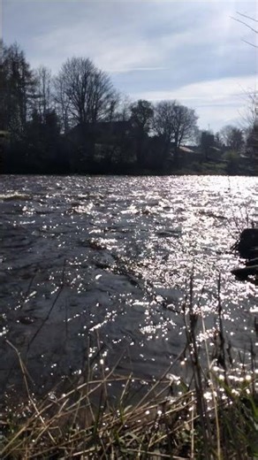 Sunlight Dancing on Flowing River 🌊✨ | Relaxing Nature Moment