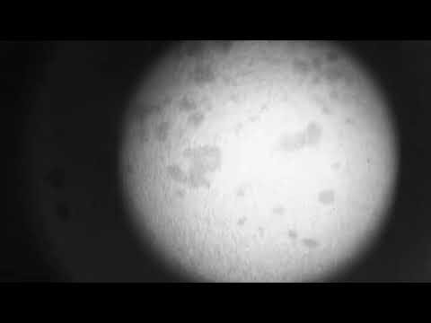 All my raw 3/7/26 IR camera footage. PLEASE CHECK DESCRIPTION FOR STOCK USE
