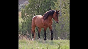 2.6K views · 319 reactions | Hello and Happy Sunday to everyone....