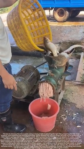 Mince fish into a paste using a meat grinder—delicious fish paste! #automobile #bamboo1 #climbing